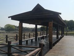 -荷塘月色湿地公园·向阳花洲