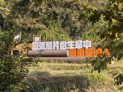 -塔川景区