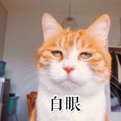 -艺之剪