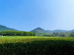 -八卦田遗址公园