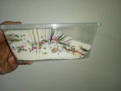 -泸溪河桃酥(秦淮夫子庙一店)