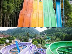 -重庆海昌加勒比海水世界