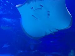 -多彩贵州城极地海洋世界