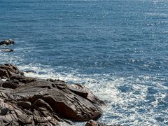 -广东惠东海龟国家级自然保护区