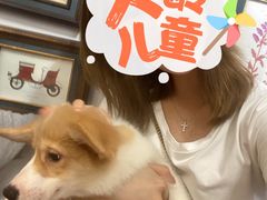 -柯斗斗主题餐厅·狗咖·围炉煮茶·茶饮(国瑞升平里店)