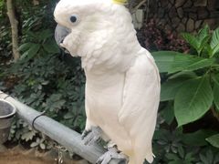 -南宫五洲植物乐园