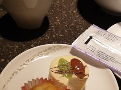 -虹桥机场国航贵宾室v8