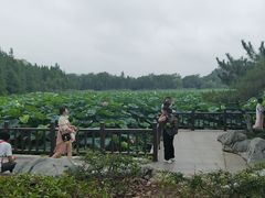 -云龙湖旅游景区