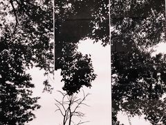 -江苏省美术馆(长江路新馆)