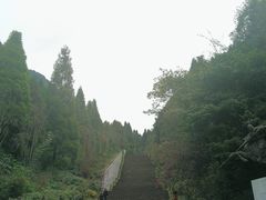 -娄山关景区