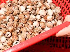 -巽寮印象美食部落餐厅·海鲜·地方特色菜(惠州体验店)