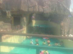 景点-上海玛雅海滩水公园