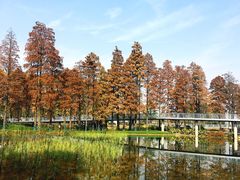 -东湖落雁景区