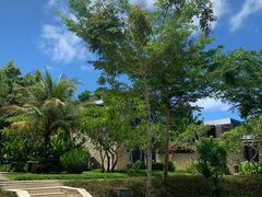 -巴厘岛乌鲁瓦图安纳塔拉度假酒店