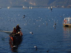 -滇池海埂公园