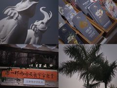 -Torch Coffee 炬点咖啡