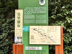 -莫里热带雨林景区