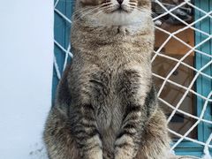 -喵屿·大理花园猫咖