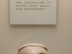 -辽宁省博物馆
