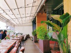 -TOMATITO(无限极荟店)