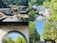 -禅宗少林·音乐大典