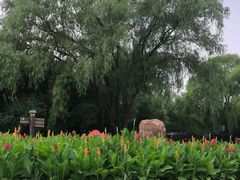 -北陵公园