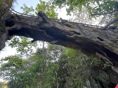 -石台牯牛降景区