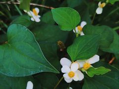 -洋湖国家湿地公园