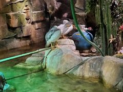 -zoonana室内动物园(东方福来德店)