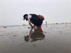 -碧海金沙