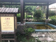 -河源万绿湖美思威尔顿酒店