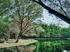 -上海共青森林公园