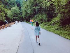 -望天鹅景区