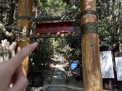 -长沙黑麋峰国家森林公园
