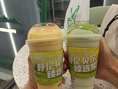 -茉酸奶(春熙路店)
