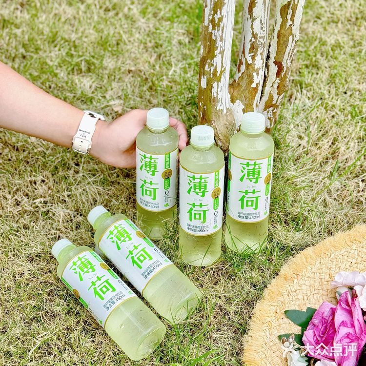 我的薄荷味道的夏天🍃  