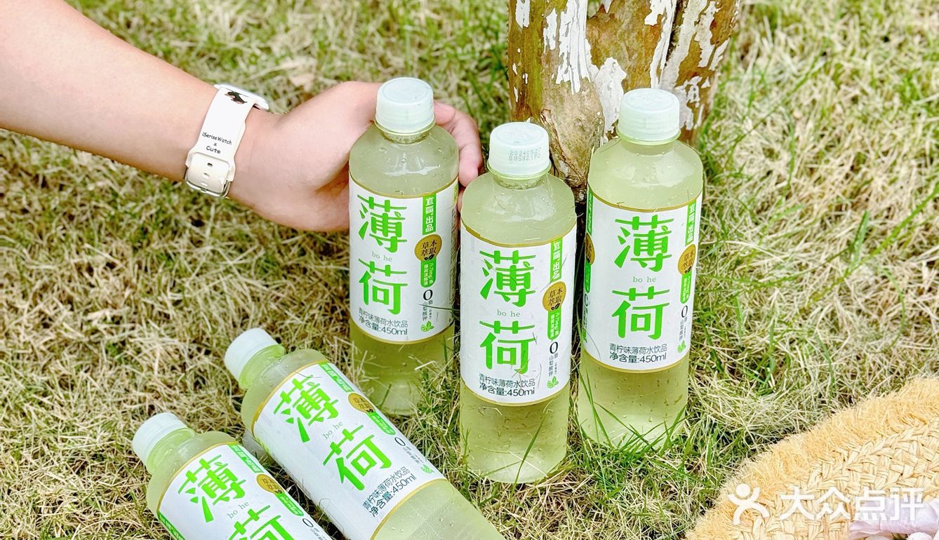 我的薄荷味道的夏天🍃  