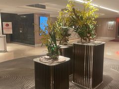 -香港皇家太平洋酒店