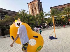 -亚马逊丛林水乐园