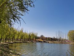 -大兴滨河森林公园