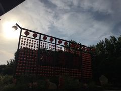 -合肥滨湖国家森林公园