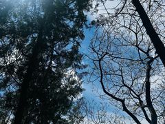-红螺寺