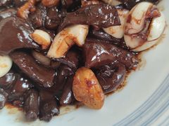 特色红树菇-食家鸽园