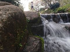 -中国茶叶博物馆(双峰馆区)