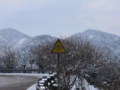 -四明山国家森林公园