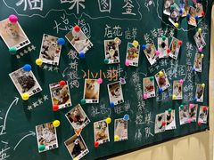 -藏猫猫咖啡主题馆(中央大道店)