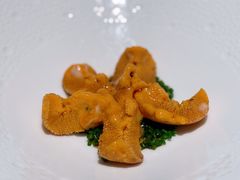 捞汁马粪海胆-怡情荟•海鲜青岛菜(五四广场旗舰店)