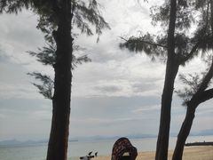 -玫瑰海岸文化旅游度假区