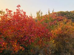 -鬼笑石后山停车场