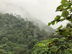 -广州市石门国家森林公园